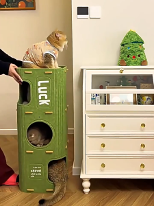 【COD】Felt Cat House Multi Storey Pet Condo Durable Felt Cat Tree Tunnel Semi Enclosed Kitty Nest Removable Cat Bed Indoor Cat Furniture Climbing Frame Cat Playhouse 2025 Hot Trending Design Affi3