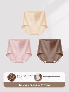 DREAM TIME | High Waist Tummy Control Briefs Cotton Antimicrobial Triangular Shorts