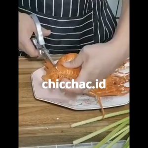 Gunting Tajam High Quality / Gunting Kulit Daging Serbaguna / Gunting Stainless Praktis