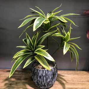 Kmitang | 36cm 3 Heads Artificial Palm Tree Plastic Bamboo Branch Tropical Potted Plants Fake Grass For Home Desktop Plant Wall Decoration
