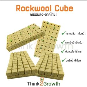 พร้อมส่ง (ยกแผง) Rockwool Cube วัสดุปลูก ที่นิยมสำหรับผู้ปลูกแบบไฮโดรโปนิกส์