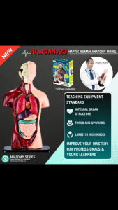 XCFASHION Human Anatomy Model - 8 Pcs Removable Human Body Model Science Learning & Medical Study