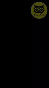 Vitamin Extra Fit Canary: Penambah Power Gacor untuk Burung Kenari & Lovebird