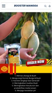 Booster Tanaman Mangga / Pupuk Booster Hayati Khusus Tanaman Mangga