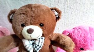 Dreamtoys96 Boneka Teddy Bear Beruang dasi Telapak Kotak-Kotak 30 CM
