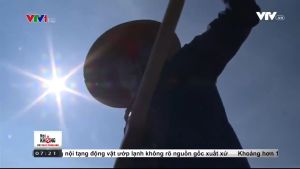 Muối biển thô xuất khẩu Royal 1 kg - Muối Nadi - Sản phẩm của công ty muối nam Định - Giàu khoáng chất - vị mặn dịu nhẹ Koshka Home