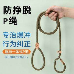 Dây Xích Chó Chống Thổi P Dây Xích Chó Kéo Dài Tự Động Cho Chó Cỡ Nhỏ Đến Cỡ Lớn Dây Xích Chó Luyện Tập Chó Dây Xích Chó Bằng Dây Thép Không Gỉ