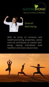 3x NATUREBYOND Sacha Inchi Oil Plus KKM approved {Exp:3/25} 60 softgel Omega 3 6 9 Vitamin E boost body health