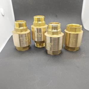 Full Copper Thickened Standalone Water Meter Spring Single Direction Valve for Water Supply Pipe Reverse Flow Check Valve