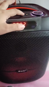 Brodu BTS-2475 Portable Bluetooth Speaker with Microphones