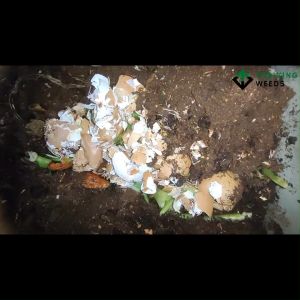 Home Composting | Composter Automatic | Food Waste Recycling | Remora 2.0