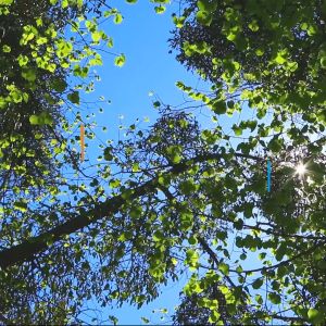 Xe lăn tay ngã lưng 6 nấc có đệm và bô vệ sinh - NIKITA N213-1