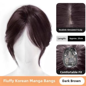 Womens Bangs Wig Piece Realistic Lightweight Natural Looking Hair Extension Block Straight Hair Piece Fake Fringes