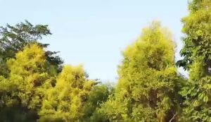 Baby Portable Milk Bottle Warmer Outdoor USB Charging Heating Insulation Milk Thermostat For Infant