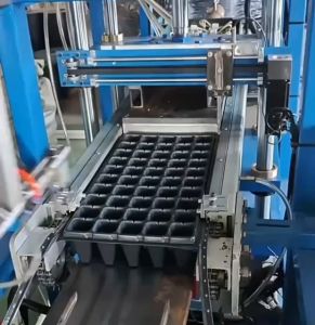 ถาดเพาะกล้า ถาดพาะเมล็ด (แบบหนา 0.9 mm) ขนาด 105หลุม (ยกกล่อง 100 ชิ้น)