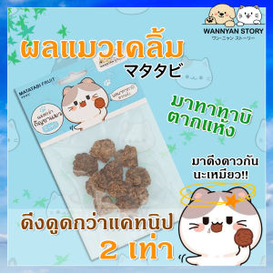 Wannyan Story ผลมาทาทาบิ/มาตาตาบิ ตากแห้ง ของเล่น สำหรับแมว ดึงดูดกว่าcatnip/แคทนิป 2เท่า Matatabi เนื้อแน่นเคี้ยวมันส์