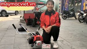 Máy cắt cỏ giá rẻ hàng Nhật Bản Maruyama BCF420HTR