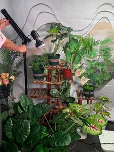 💗🙋♀️💗全光谱LED植物补光灯室内绿植花卉仿太阳光植物生长灯落地可伸缩