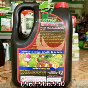 Phân Bón Vi Lượng Đầu Bò HUMATE KALI Can 5Lit – Ra Rễ Cực Mạnh Đâm Chồi Đẻ Nhánh Tăng Đậu Trái