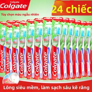 Colgate | Đánh Răng Chăm Sóc Nướu Lông Mềm