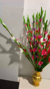 Combo sỉ 5-10 cành hoa lay ơn (hoa dơn) nhiều màu kho hoa lay ơn chuyên cung cấp giá sỉ decor phòng nhà