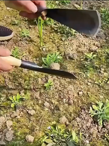 Berkebun Transplast Weding Shovel / Sekop Kebun Mini 2 Variasi / Alat Berkebun Sekop Tanaman