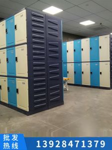 Modern Minimalist ABS Plastic Storage Cabinet for Gym Changing Room Bathroom Shower Center Swimming Pool Easy Installation