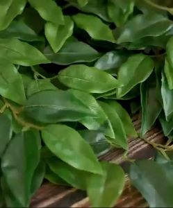 (1 Stalk) BANYAN LEAF Artificial Flowers Leaves Hanging Flowers Wedding Deco Home Decor Garden Outdoor Wall Daun Pelamin