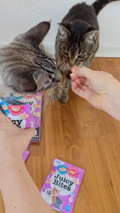 [CHÍNH HÃNG] Bánh Thưởng Cho Mèo JUICY BITES 😻 INABA CIAO Nhập Khẩu Thái Lan