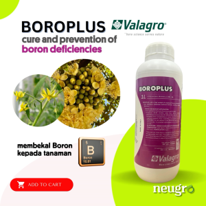 Valagro BOROPLUS (1L) Boron Micronutrien Fruit Stimulant Foliar Fertilizer Perangsang Buah Penggalak Bunga Baja Foliar Mikronutrien