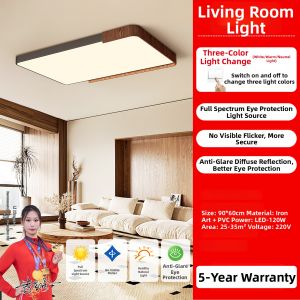 PAIMIJI | Retro Modern Simple Round Eye-Protection Ceiling Light
