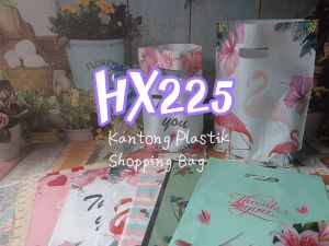 HX225 [1 paket = 10 pcs] 20x30 25x35 Kantong Plastik Shopping Goodie Tote Packaging Bag