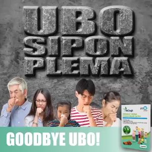 4 Sachets NoCough Organic Herbal Cough Relief Patch: Relieves Eases Throat Discomforts, Helps Loosen Phlegms, Easy to Apply