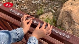 Bird Spikes กันนกเกาะ พร้อมจัดส่ง อุปกรณ์ไล่นกทำรัง ทนทาน ไล่นกพิราบ กันนกพิราบ