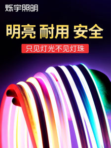 Flexible LED Light Strip Neon Colorful Flashing Color Changing Super Bright Decoration Outdoor Waterproof Light Bar Line Light 220V