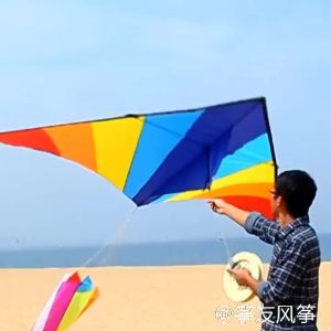 Large Rainbow Kite: A Colorful Professional High-End Breeze