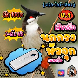 เสียงฝึกนกกรงหัวจุก V.1 ////ควิก-ไกว๊-เลี่ยว//// เพลงเบิ้ล ยาวสะใจ 10 ชม เสียงใสชัดเป๊ะ ไม่มีโฆษณาแทรก พร้อมส่ง! มีเก็บปลายทาง!