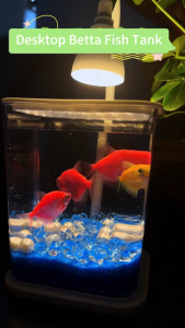 ตู้ปลา ตู้ปลาขนาดเล็ก ตู้ปลาขนาดเล็กที่มีไฟกลางคืนขนาดเล็ก เครื่องประดับสร้างสรรค์