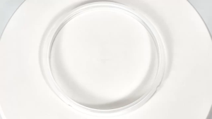 Zoăng nồi áp suất điện dung tích 5 và 6 lít đường kính ngoài 24cm đường kính trong 22cm hàng chính hãng Gali thay thế cho tất cả các nồi hầm dùng điện trên thị trường