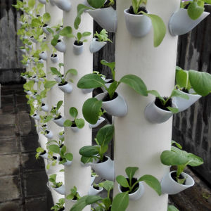Column Planting Cup Blue Family Pipe Aerosol Machine Training Equipment Soilless Vegetable Hydroponic Balcony Vegetable Planting Equipment