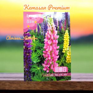 (KEMASAN PREMIUM) BIJI | BENIH BUNGA LUPINUS / LUPIN MIX ( isi -+70 butir)