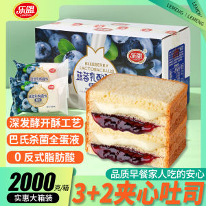 Nutritious Breakfast Blueberry Yogurt Flavor Toast Bread Student Meal Replacement Snack Cake Boxed Set Western Pastries