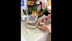 BUY 1 TAKE 1 Food Container with Cover Kitchen Storage Box Fresh Refrigerator Trays Rectangle Box BPA-free Plastic Lunch Box Food Container Refrigerator Storage