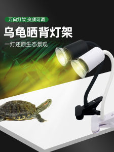 Turtle Back Light Supplies UVB Lamp Heating Lamp Tortoise-Shaped Lamp UVA Climbing Pet Lamp Ceramic Full Spectrum Chopsticks Container Pet