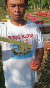 20 Strips Professional Bee Acaricide Fluvalinate Strips Varroa Mite Killer Control Beekeeping Medicines