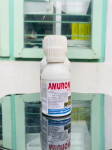 Insektisida AMURON 70EC dari ADVANSIA INDOTANI mantab