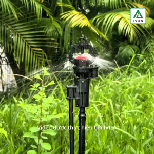 Combo 5 béc tưới phun mưa bù áp MSPC100 béc tưới gốc cây béc tưới bù áp cây ăn quả béc tưới rau