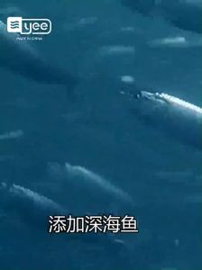 Yee Koi Fish Food Small Particles Goldfish Floating Special Color-enhancing Household Fish Food Ornamental Feed Premium Growth