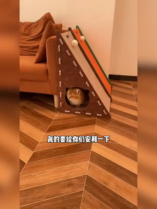 Cat Scratcher & House 2-in-1 Enclosed Cat Condo Tunnel With Cushion Cat Cave Bed & Play Toy
