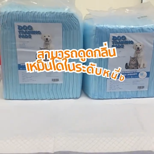 แผ่นรองฉี่สุนัข แผ่นรองฉี่แมว ช่วยฝึกขับถ่าย แผ่นรองฉี่สำหรับสัตว์เลี้ยง ผิวสัมผัสดี ซึมซับไว ดูดซึมเร็วแผ่นรองฉี่